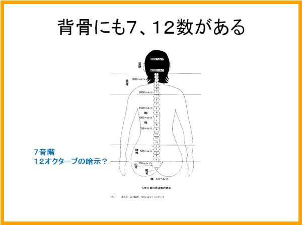 画像の説明