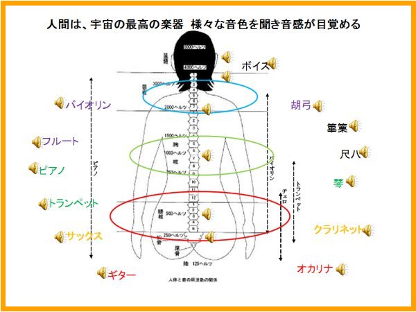 画像の説明